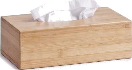Zeller Zeller Beholder For Kosmetiske Tørk 15X27x8,5 Cm