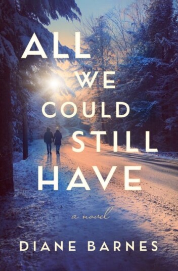 All We Could Still Have A Novel