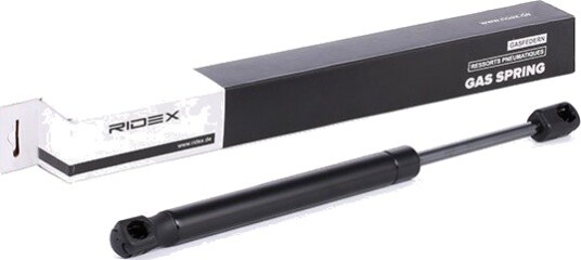 RIDEX 219G0051 Baklukedemper