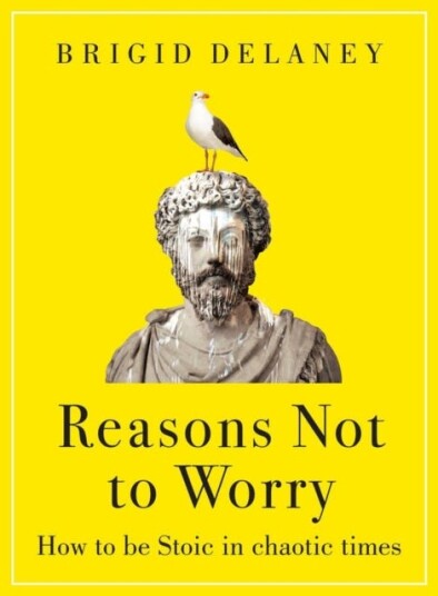 Reasons Not to Worry  How to be Stoic in chaotic times