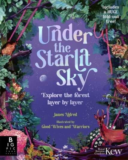 Under the Starlit Sky  Explore the Forest Layer By Layer
