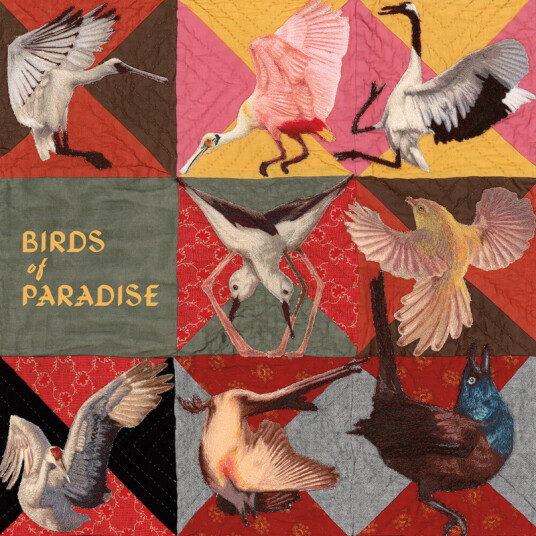 Thomas Dollbaum Birds Of Paradise CD