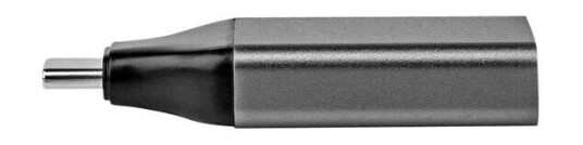 Nedis - video adapter - 24 pin USB-C to DisplayPort