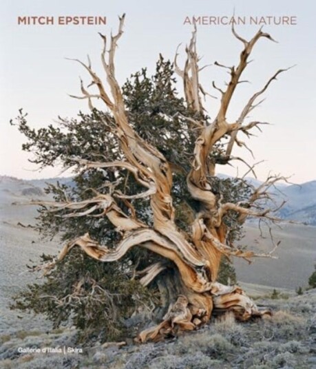 Mitch Epstein American Nature Mitch Epstein American Nature
