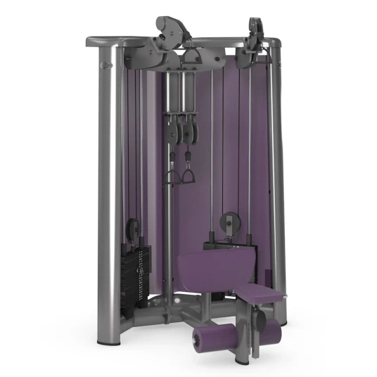 gym80 Sygnum Cable Art Biceps & Triceps gym80 Sygnum Cable Art Biceps & Triceps