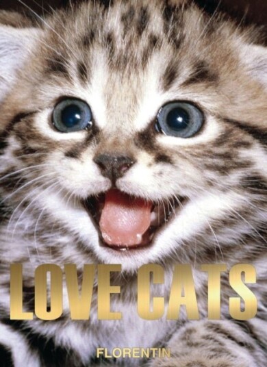 Love Cats Love Cats