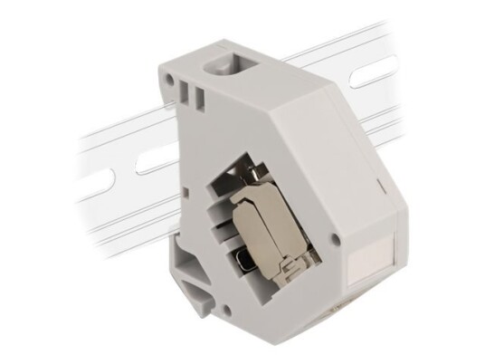 Delock - Moduladapter - Din-Skinnemonterbar - Cat 6A - Stp - Grå - 1 Port