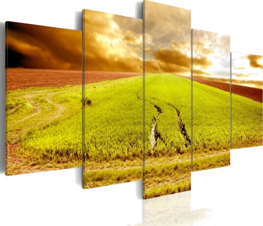 Bilde Wheels Traces On A Field 100x50 Artgeist sp. z o. o.