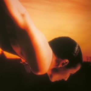 Porcupine Tree  On The Sunday Of Life