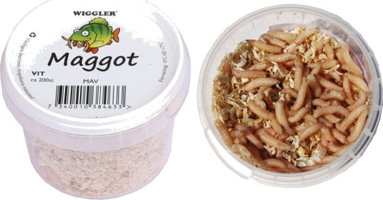 Maggot, hvit