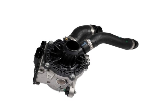 HEPU P1595 Vannpumpe