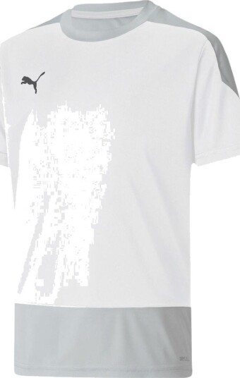 PUMA Trenings T Skjorte teamGOAL 23 Hvit/Grå Barn størrelse YS/128 cm
