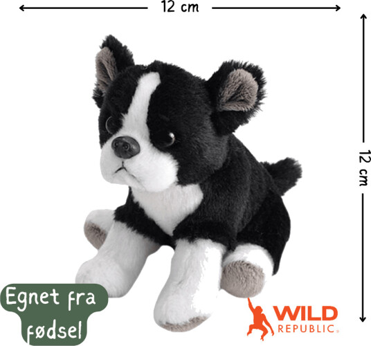 Pocketkins Eco Dog Plush | Wild Republic Pocketkins Eco Dog Plush | Wild Republic