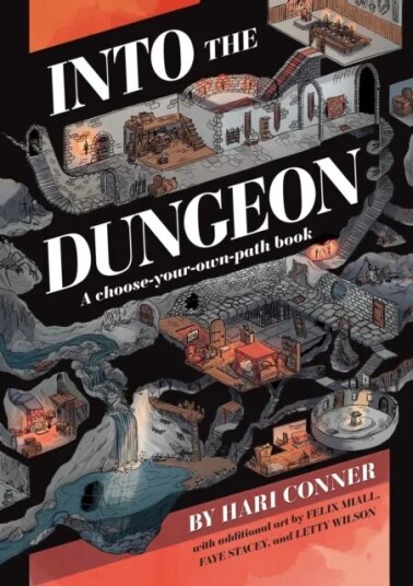 Into The Dungeon Av Hari Conner