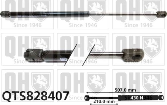 QUINTON HAZELL QTS828407 Baklukedemper