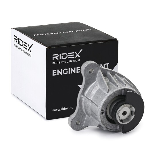 Motorfeste RIDEX 247E1024