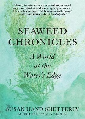 Seaweed Chronicles  A World at the Water's Edge