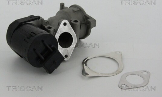 EGR Ventil TRISCAN 8813 10001 EGR Ventil TRISCAN 8813 10001