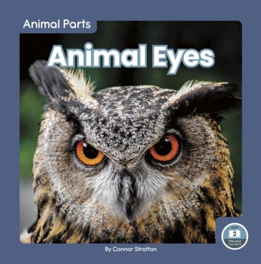 Animal Eyes Animal Eyes