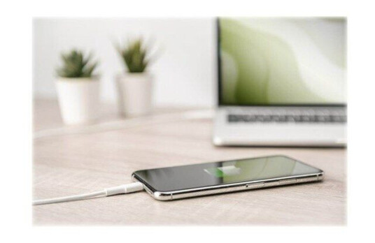 DIGITUS Lightning cable   1 m