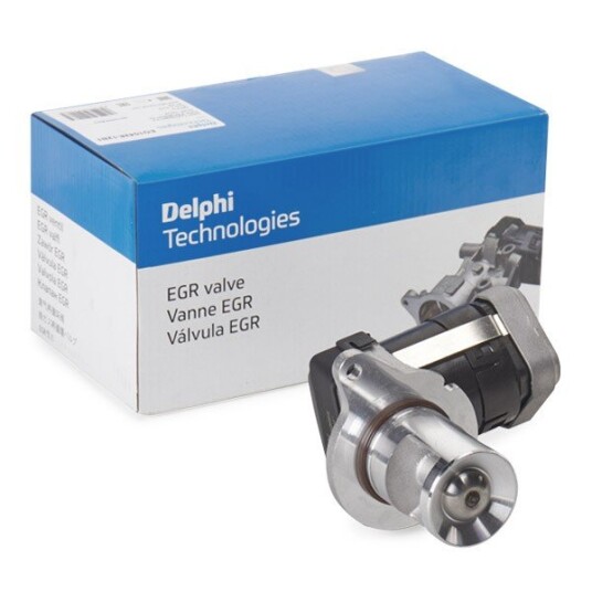 EGR Ventil DELPHI EG10428-12B1