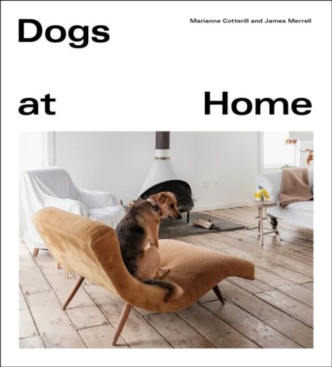 Dogs At Home Av Marianne Cotterill, James Merrell