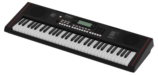 Roland E-X10 Arranger Keyboard