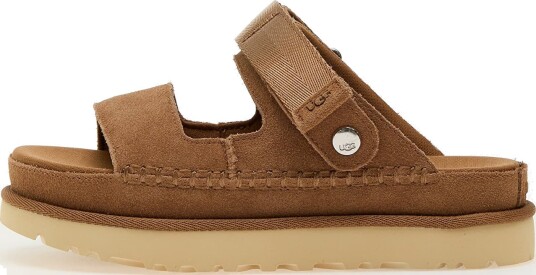 Goldenstar Glide W Chestnut (6)