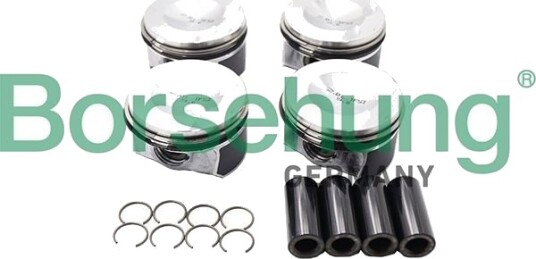 Borsehung B18741 Stempelringsett