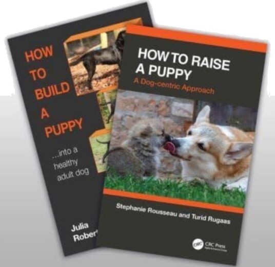 How to Raise a Healthy, Happy Dog