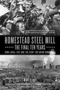 Homestead Steel Mill - The Final Ten Years Av Mike Stout