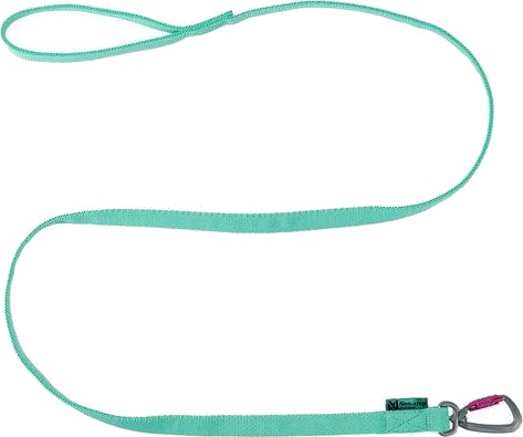 Non Stop Bungee Leash Aqua 2 M Non Stop Bungee Leash Aqua 2 M