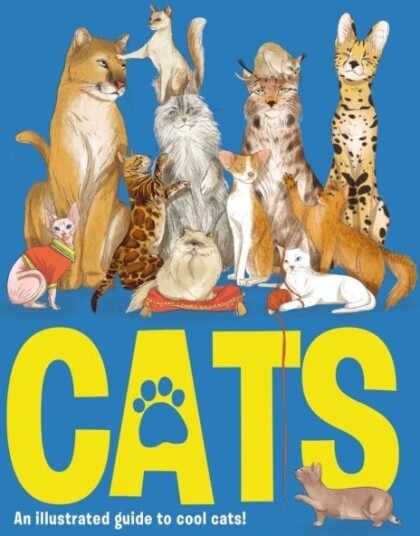 Cats Cats