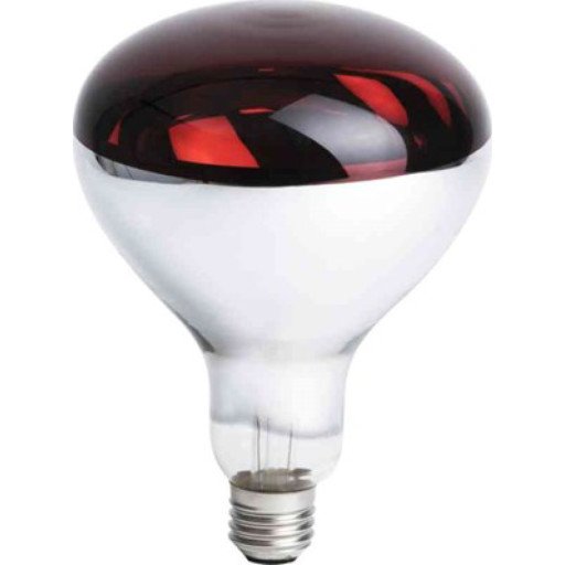 Philips Infrarød halogenpære Br125 ir 150w e27 230-250v red E27
