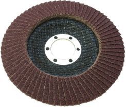 Proline Lamellskive Korn 80 125mm