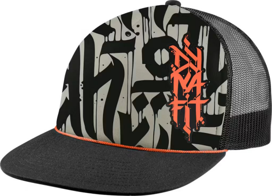 Dynafit Graphic Trucker Cap overcast/trail