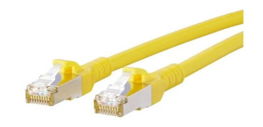 Btr Netcom Cat6a 2M 2M Cat6a Rj-45 Rj-45