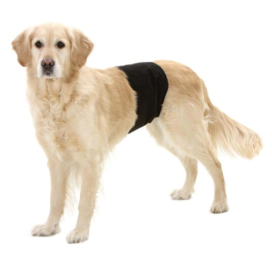Hannhund-Belte L -Magebånd Hund