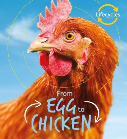 Lifecycles: Egg To Chicken Av Camilla De La Bedoyere Lifecycles: Egg To Chicken Av Camilla De La Bedoyere