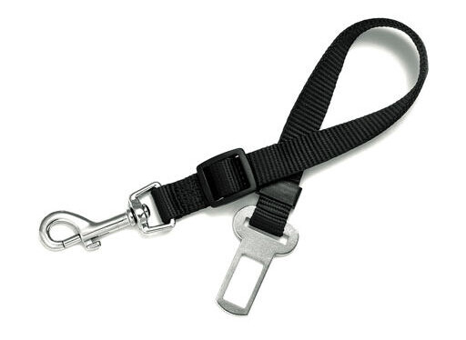 Alac Anslutningsrem Till Bilsele 44-70 cm 20 Mm (M)