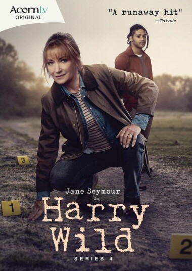Harry Wild: Series 4 DVD