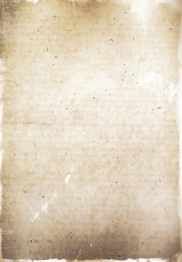 Wilton teppe Vezzani beige Størrelse: 200 x 280 cm