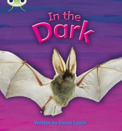 Bug Club Phonics Phase 3 Unit 10: In the Dark