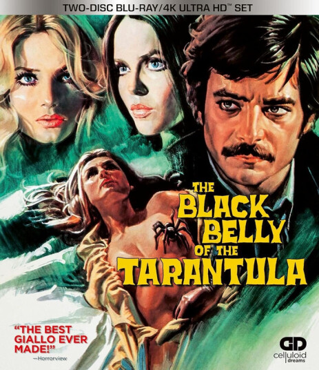 Black Belly Of The Tarantula