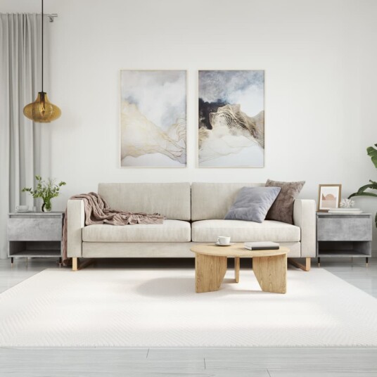 Salongbord 2 stk betonggrå 50x46x50 cm konstruert tre 8721012112124 Salongbord 2 stk betonggrå 50x46x50 cm konstruert tre 8721012112124