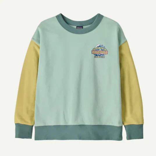 Patagonia Kids" Crew Sweatshirt Great Waves: Thin Ice L 12 år Patagonia Kids" Crew Sweatshirt Great Waves: Thin Ice L 12 år