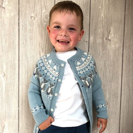 Bluum Strik Strikkejakke Rev - garnpakke i Bluum Pure Eco Baby Wool