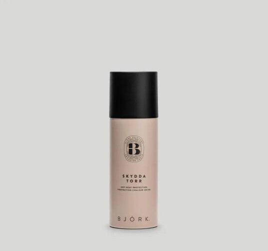 Björk Skydda Torr Mini 100 ml