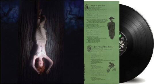 Fawns Enemy Vinyl