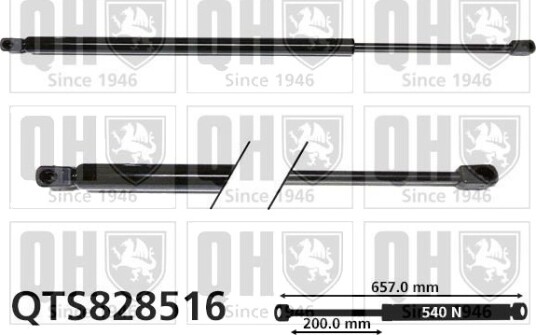 QUINTON HAZELL QTS828516 Baklukedemper